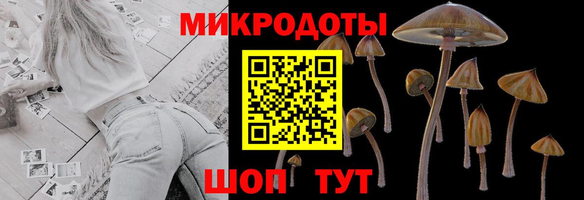 Псилоцибиновые грибы Magic Shrooms Абакан