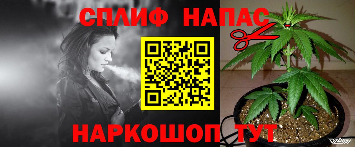 Марихуана гибрид Абакан